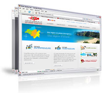 Création site web conception site web